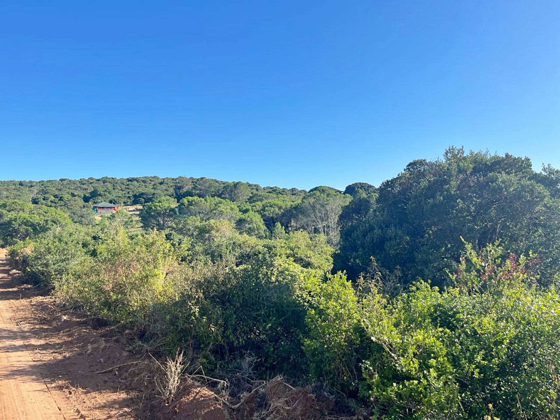 Residential vacant land for sale in Bathurst - 1PF1599793