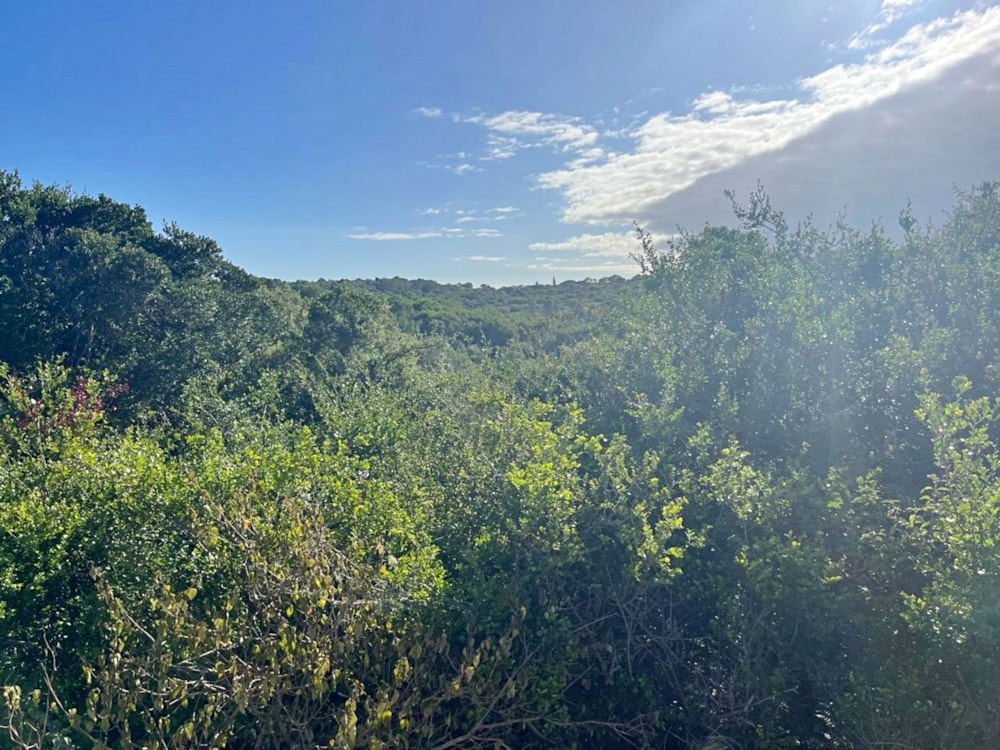 Residential vacant land for sale in Bathurst - 1PF1599793 Residential vacant land for sale in Bathurst - 1PF1599793