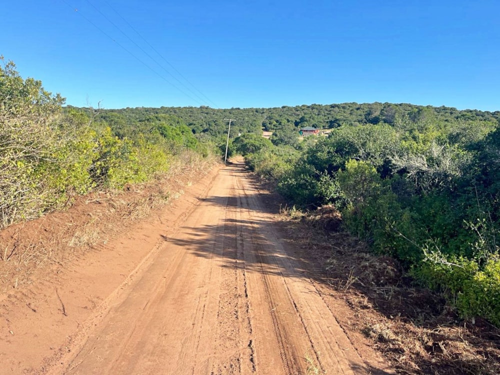 Residential vacant land for sale in Bathurst - 1PF1599799 Residential vacant land for sale in Bathurst - 1PF1599799