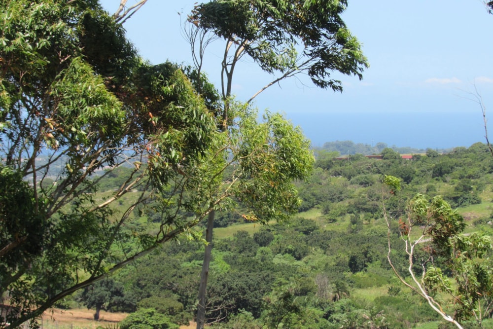 Vacant land for sale in Gamalakhe - 1PSH1715991 Vacant land for sale in Gamalakhe - 1PSH1715991