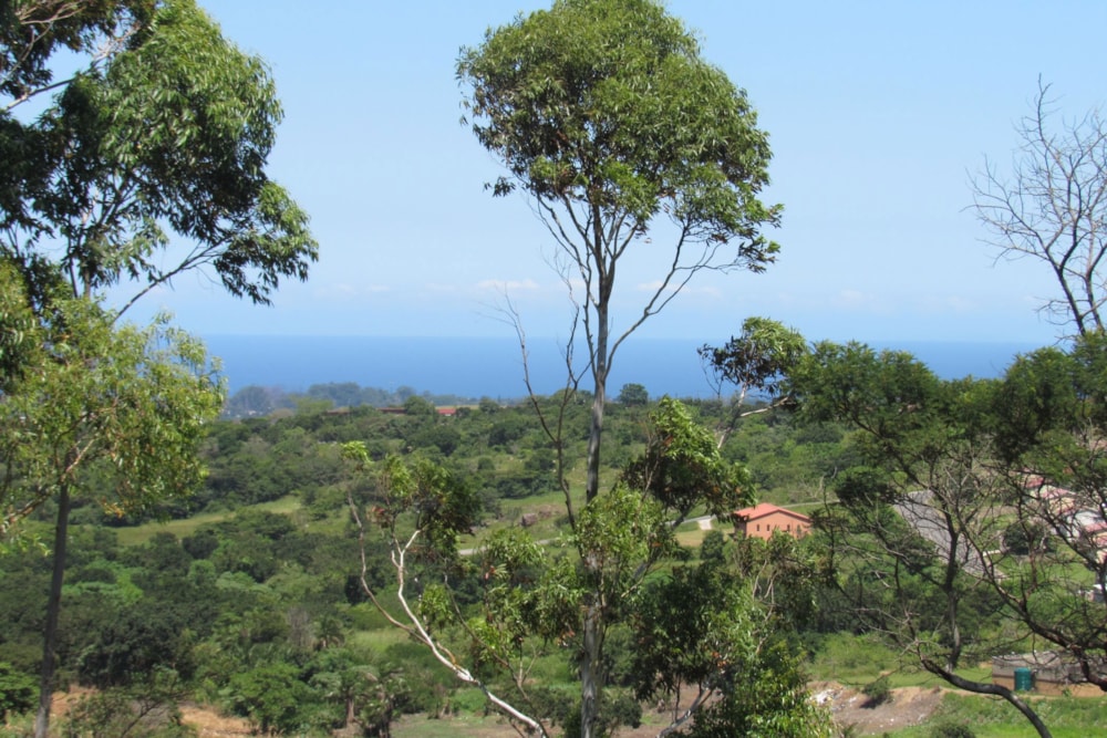 Vacant land for sale in Gamalakhe - 1PSH1715991 Vacant land for sale in Gamalakhe - 1PSH1715991