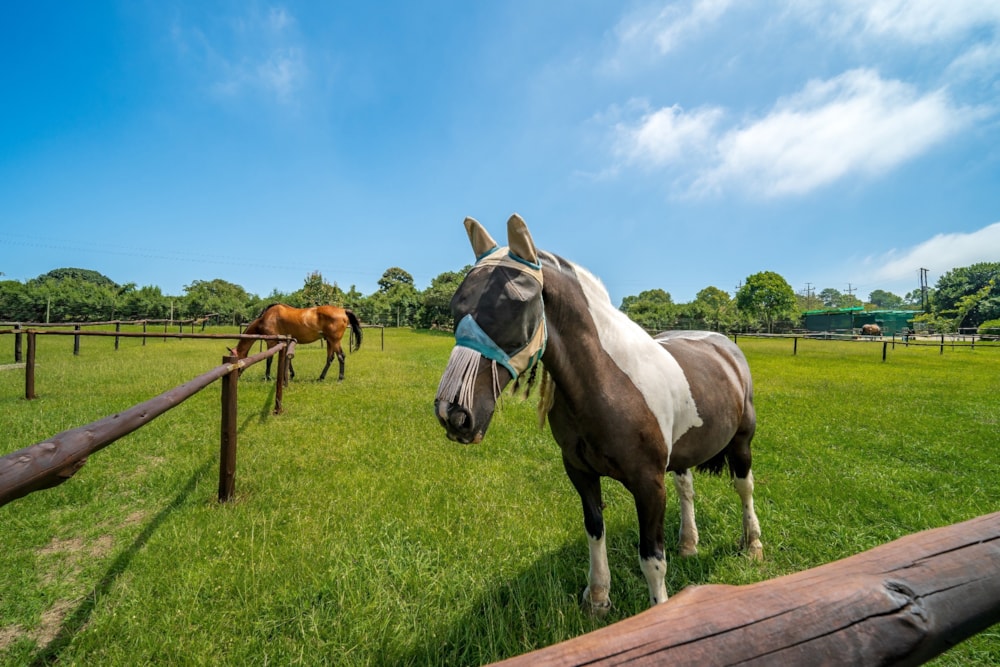 Double-storey house for sale in Summerveld - 1KF1644099 Double-storey house for sale in Summerveld - 1KF1644099