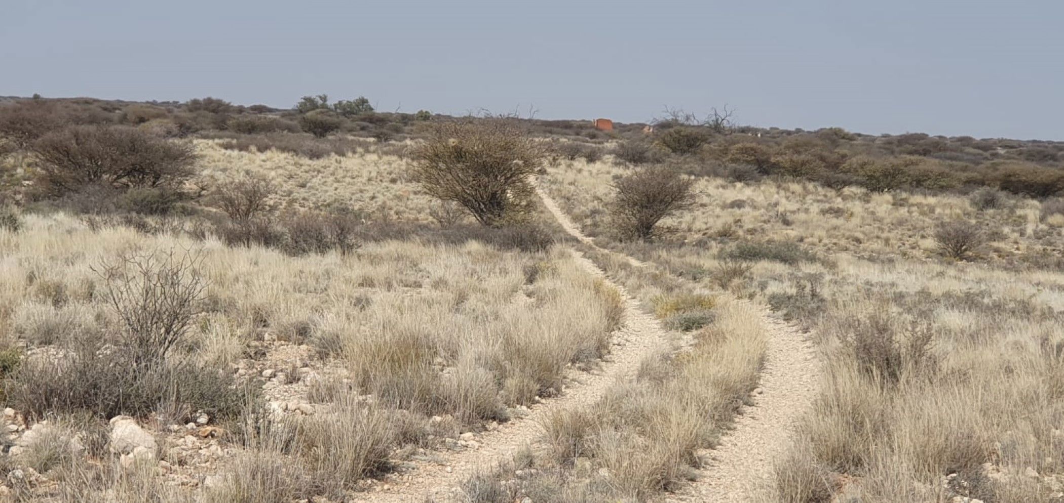 Livestock farm for sale in Hopetown - 1KJ1632573