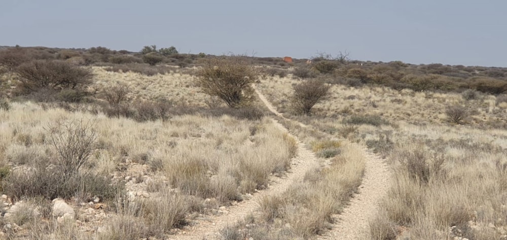 Livestock farm for sale in Hopetown - 1KJ1632573