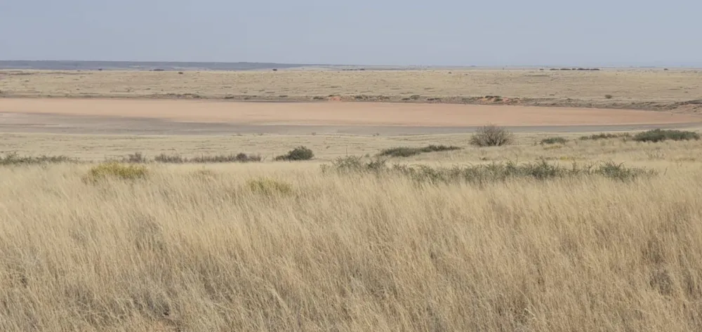 Livestock farm for sale in Hopetown - 1KJ1632573 Livestock farm for sale in Hopetown - 1KJ1632573