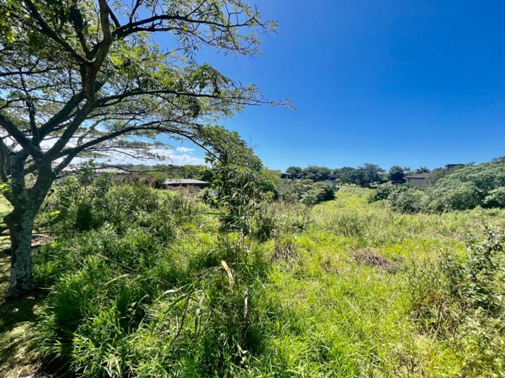 Residential vacant land for sale in Palm Lakes Estates - 1BD1650657 Residential vacant land for sale in Palm Lakes Estates - 1BD1650657