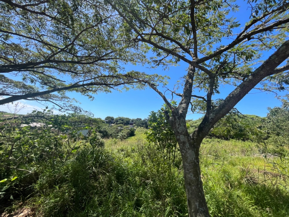 Residential vacant land for sale in Palm Lakes Estates - 1BD1650657 Residential vacant land for sale in Palm Lakes Estates - 1BD1650657