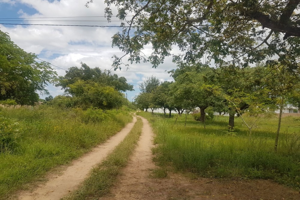 Vacant land for investment in Catembe, Mozambique - 3MQ1643822 Vacant land for investment in Catembe, Mozambique - 3MQ1643822