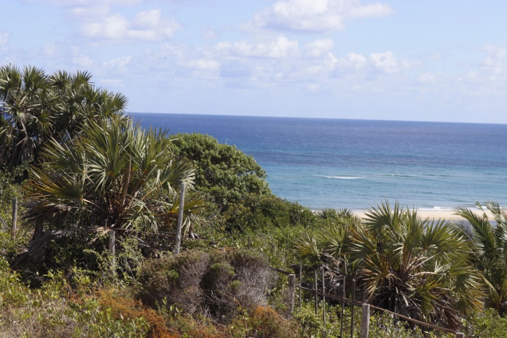 Vacant land for investment in Praia da Barra, Mozambique - 3MQ1644779