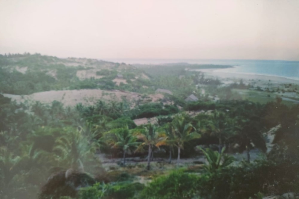 Vacant land for investment in Praia da Barra, Mozambique - 3MQ1644779