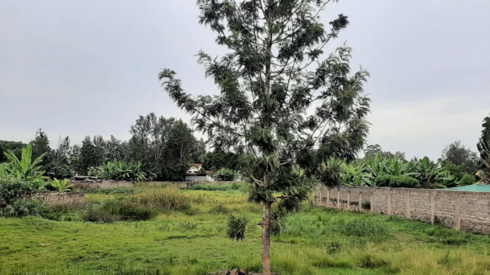 Vacant land for sale in Thika, Kenya - 3KE1744649 Vacant land for sale in Thika, Kenya - 3KE1744649
