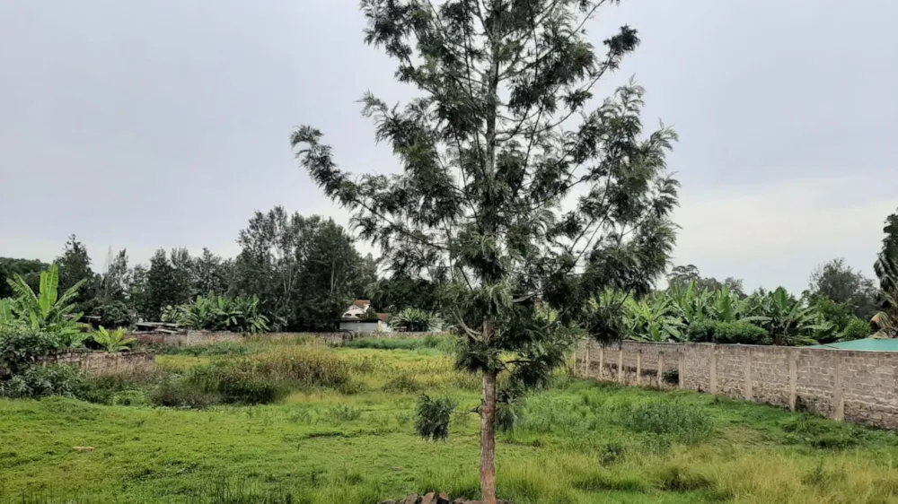 Vacant land for sale in Thika, Kenya - 3KE1744649 Vacant land for sale in Thika, Kenya - 3KE1744649