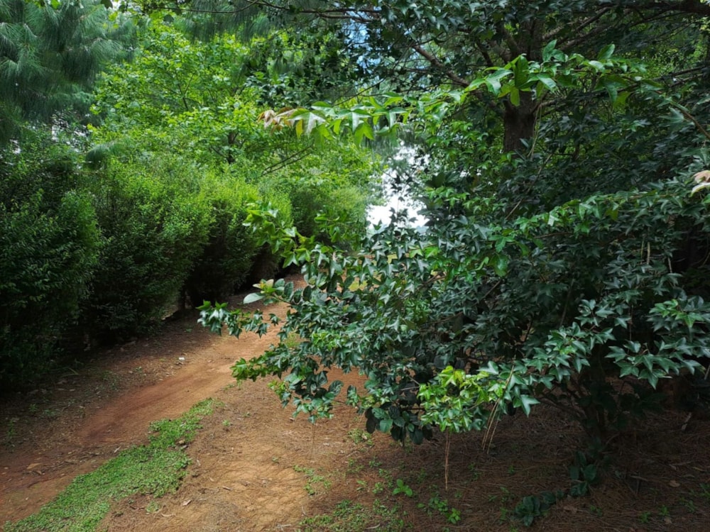 Vacant land for sale in Nottingham Road - 1PM1645435 Vacant land for sale in Nottingham Road - 1PM1645435
