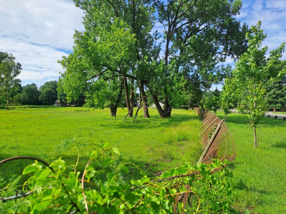 Vacant land for sale in Nottingham Road - 1PM1645435 Vacant land for sale in Nottingham Road - 1PM1645435