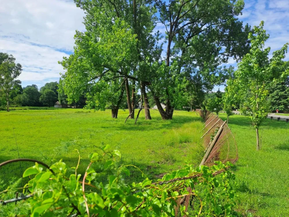 Vacant land for sale in Nottingham Road - 1PM1645435 Vacant land for sale in Nottingham Road - 1PM1645435