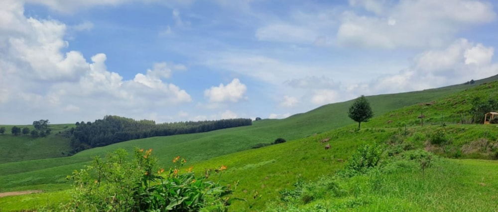 Vacant land for sale in Nottingham Road - 1PM1645435