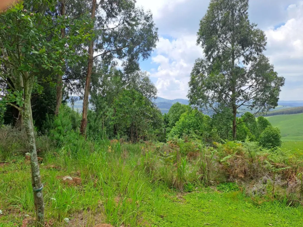 Vacant land for sale in Nottingham Road - 1PM1645435 Vacant land for sale in Nottingham Road - 1PM1645435