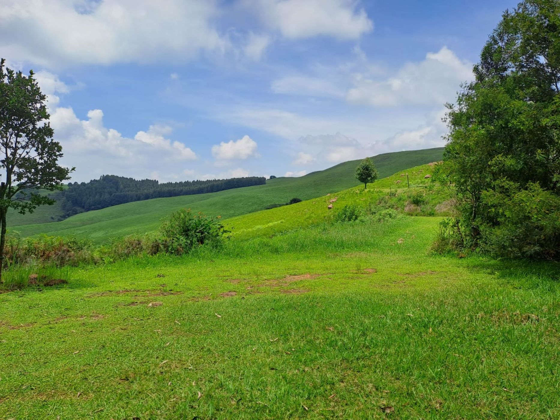 Vacant land for sale in Nottingham Road - 1PM1645435