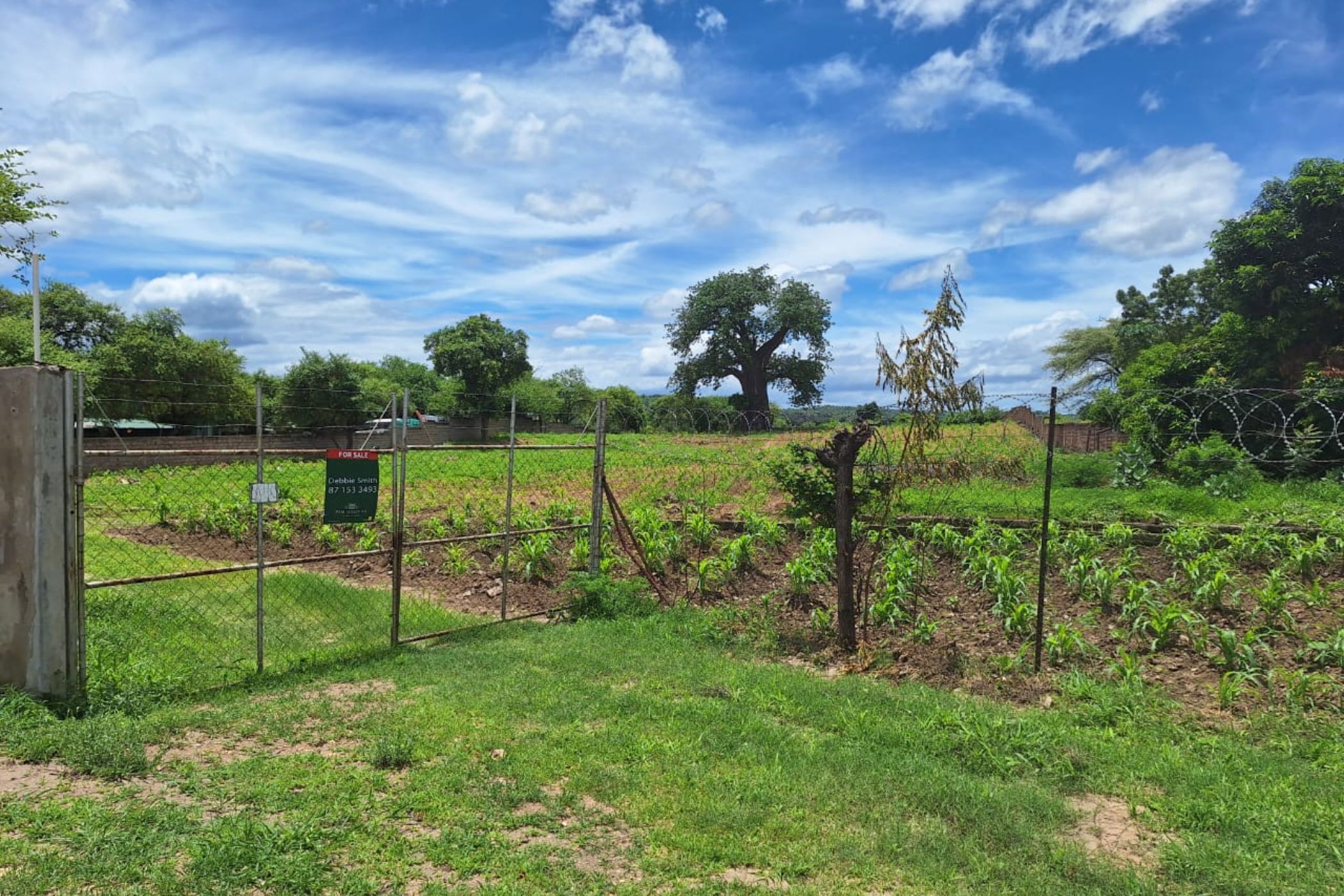 Vacant land for investment in Moatize, Mozambique - 3MQ1645576