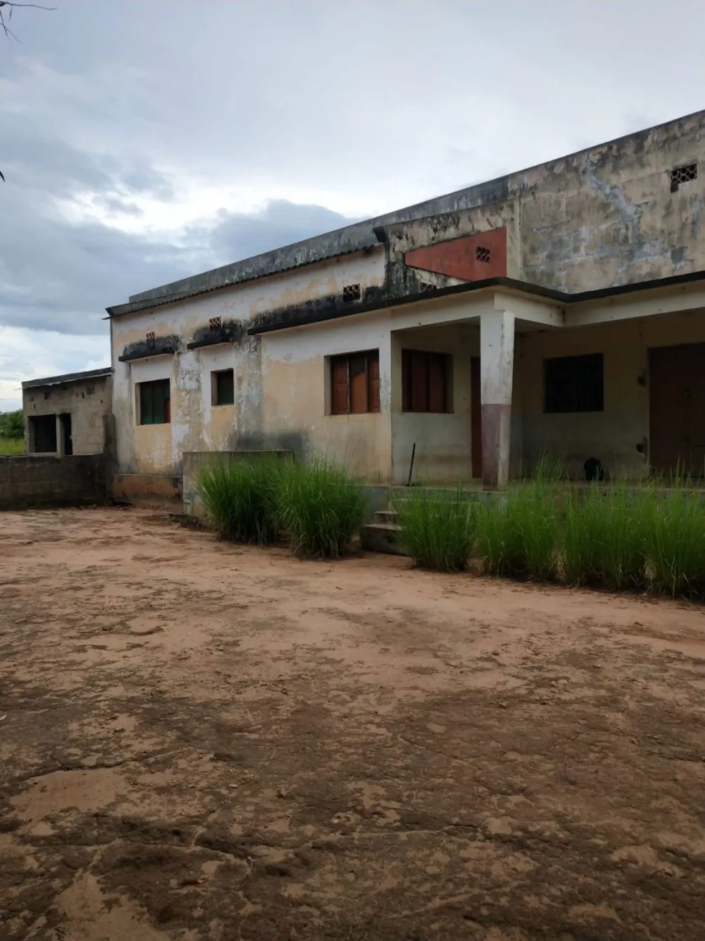 Nut farm for sale in Nampula, Nampula, Mozambique - 3MQ1645667