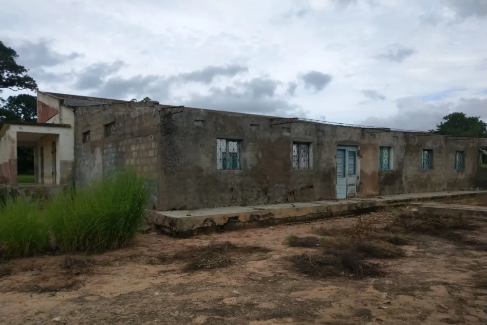 Nut farm for sale in Nampula, Nampula, Mozambique - 3MQ1645667