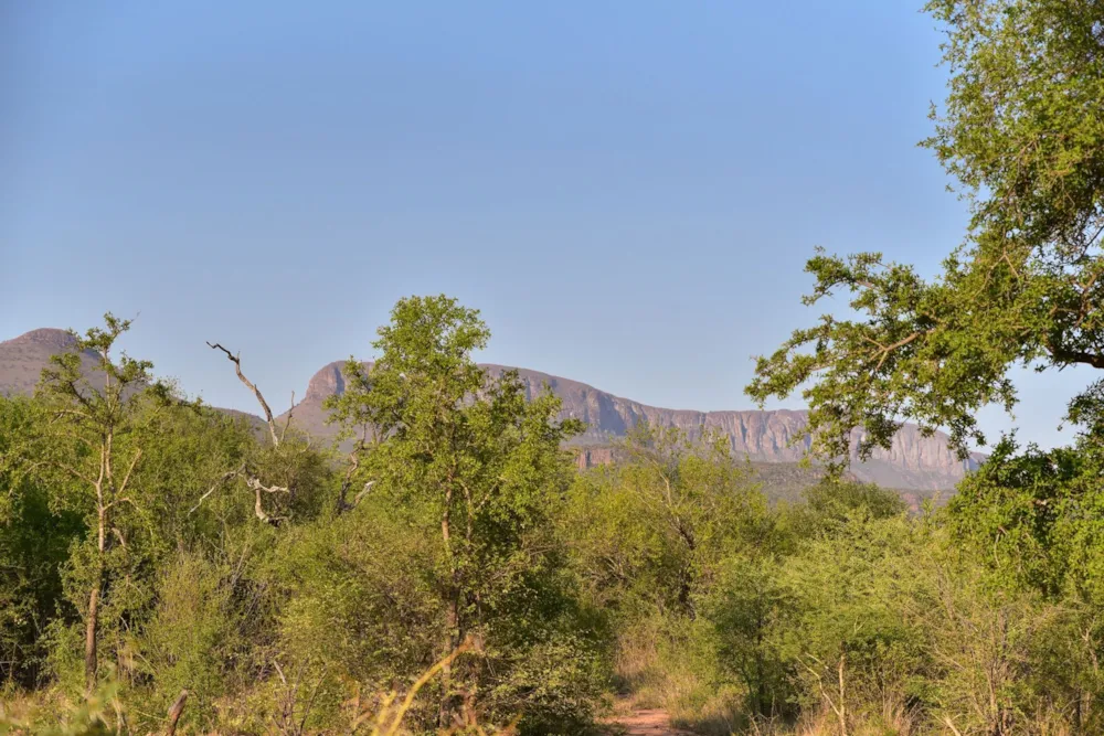 Vacant land for sale in Thabazimbi - 1ER1645689