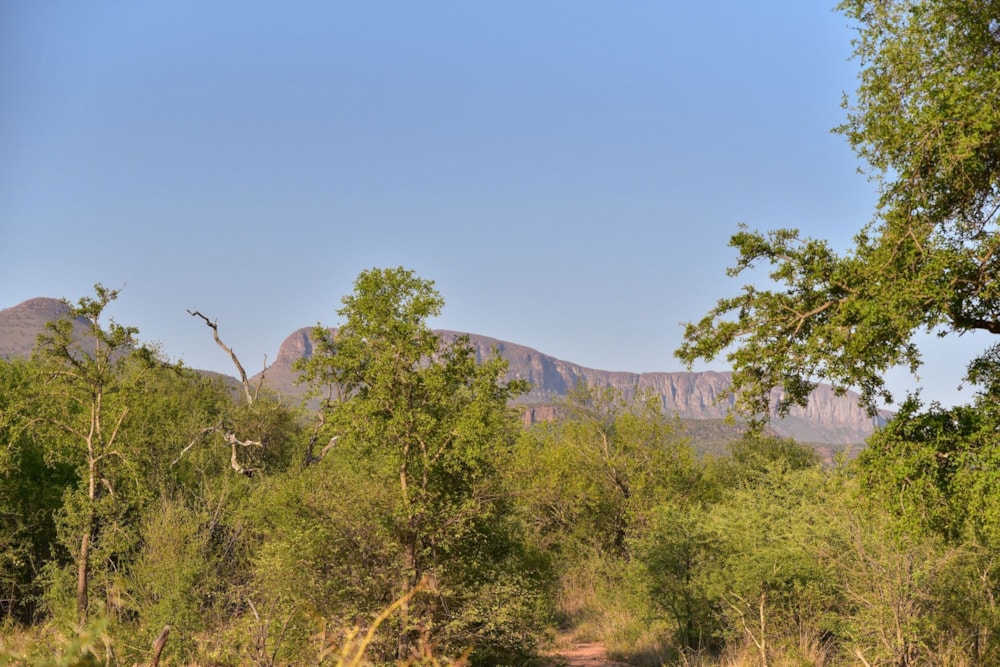 Vacant land for sale in Thabazimbi - 1ER1645689 Vacant land for sale in Thabazimbi - 1ER1645689