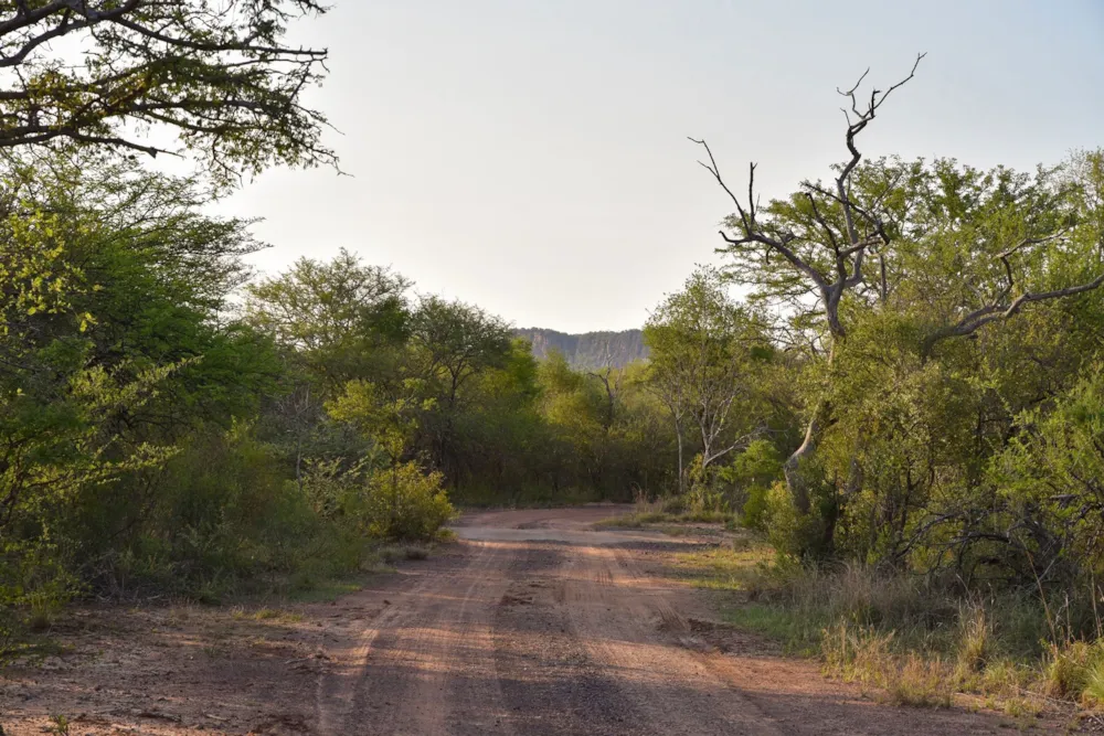 Vacant land for sale in Thabazimbi - 1ER1645689