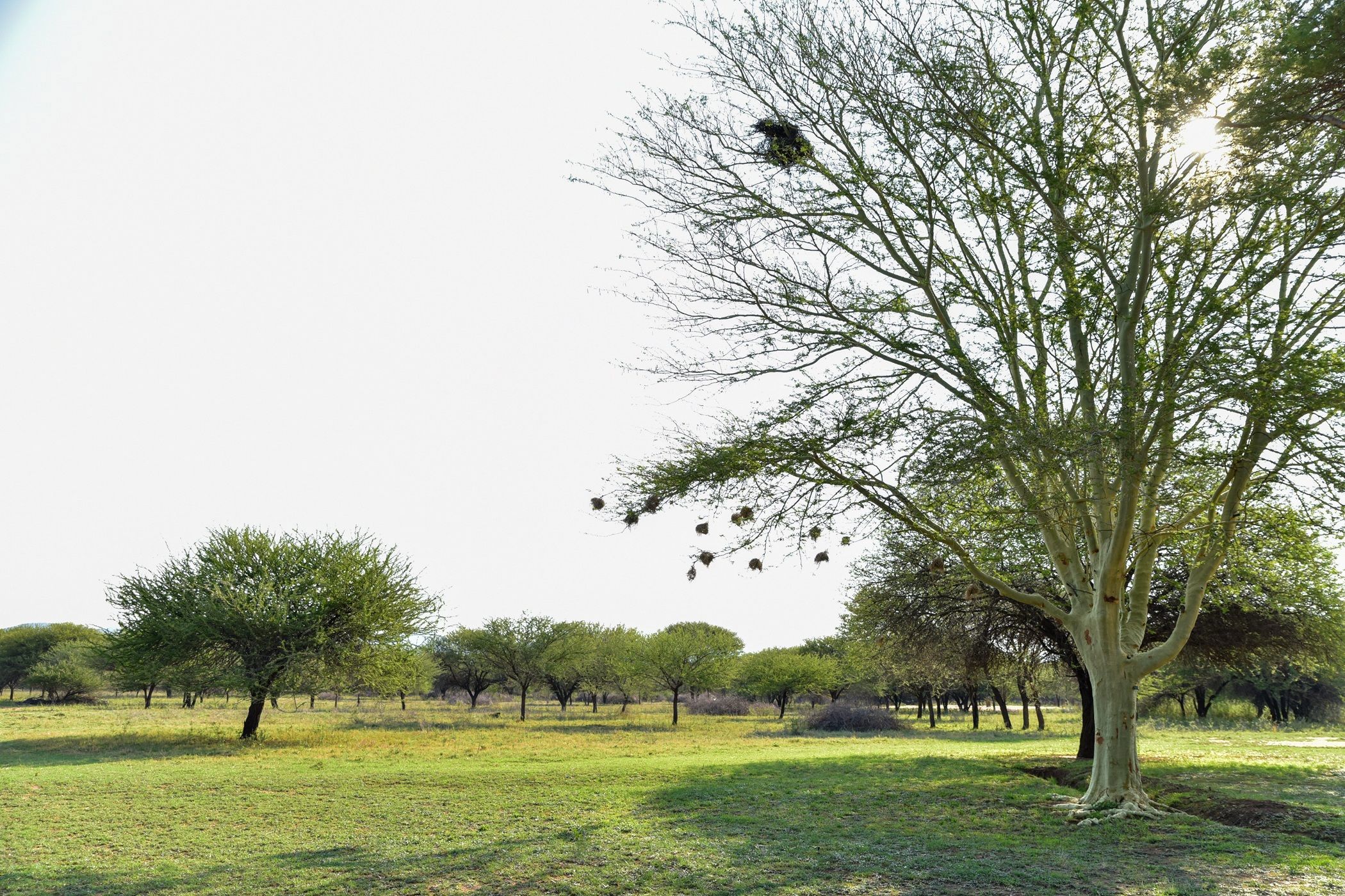 Vacant land for sale in Thabazimbi - 1ER1645689