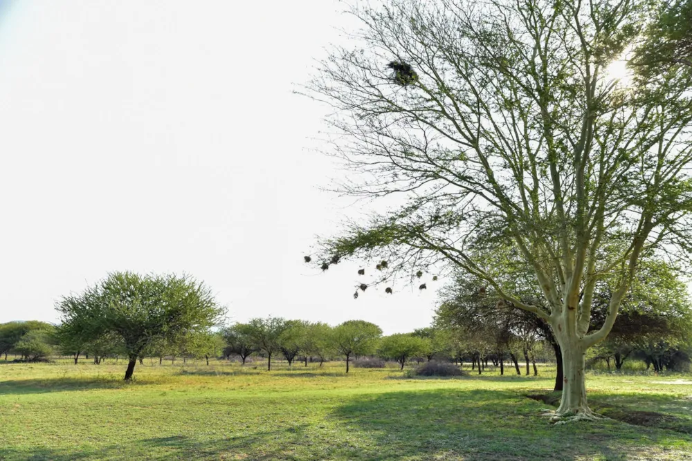 Vacant land for sale in Thabazimbi - 1ER1645689