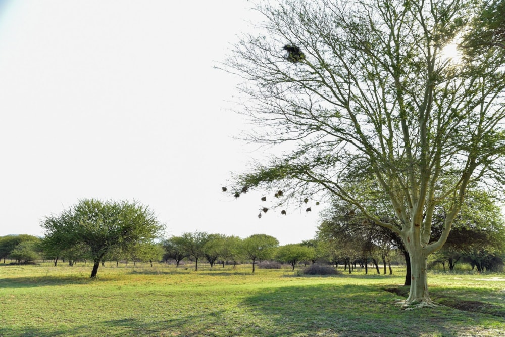 Vacant land for sale in Thabazimbi - 1ER1645689