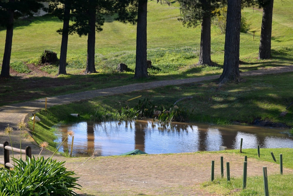 Vacant land for sale in Theewaterskloof - 1SW1645947 Vacant land for sale in Theewaterskloof - 1SW1645947