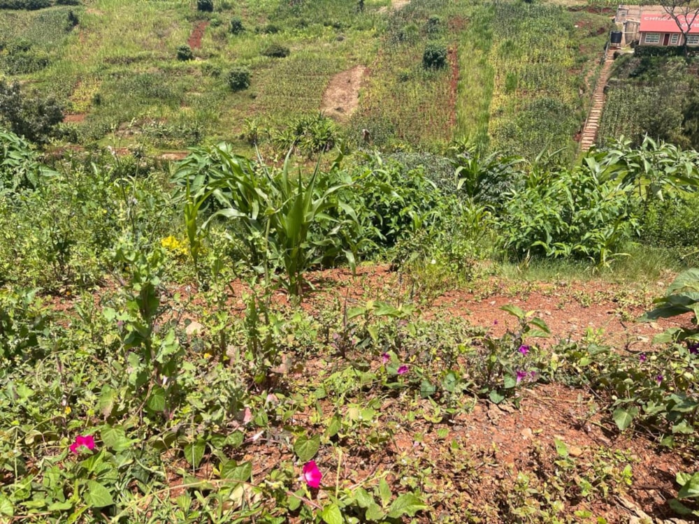 Vacant land sold in New Kitisuru, Kenya - 3KE1668541 Vacant land sold in New Kitisuru, Kenya - 3KE1668541