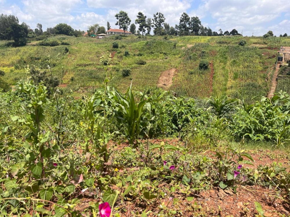 Vacant land sold in New Kitisuru, Kenya - 3KE1668541 Vacant land sold in New Kitisuru, Kenya - 3KE1668541