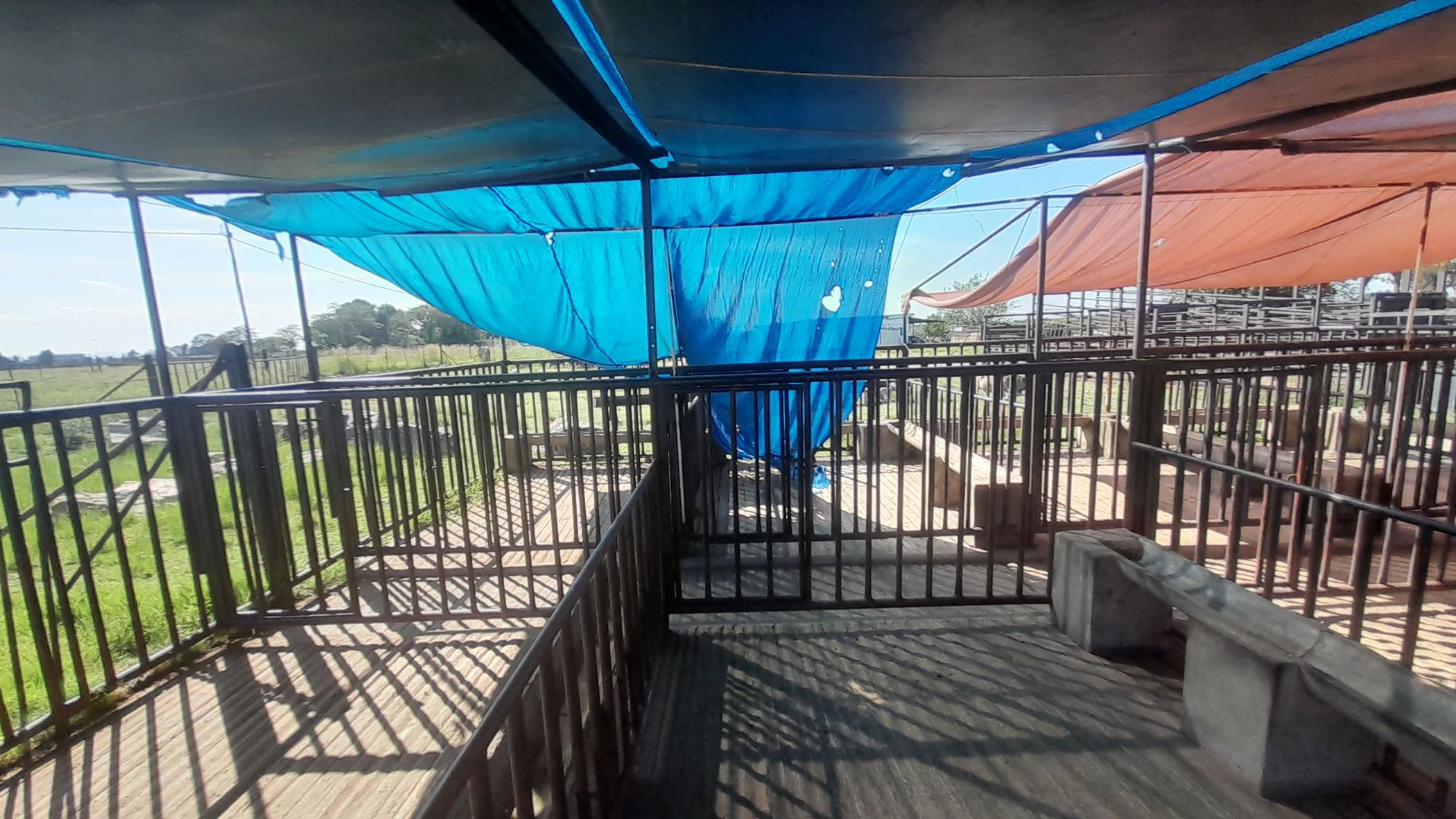 Smallholding for sale in Roodsgardens - 1VT1646491