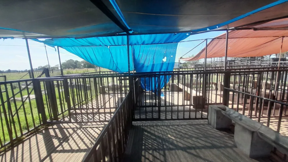Smallholding for sale in Roodsgardens - 1VT1646491 Smallholding for sale in Roodsgardens - 1VT1646491