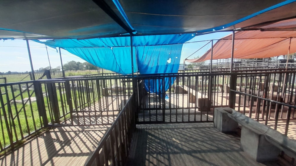 Smallholding for sale in Roodsgardens - 1VT1646491 Smallholding for sale in Roodsgardens - 1VT1646491