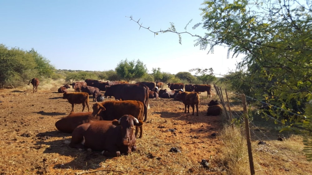 Aquaculture farm for sale in Griekwastad, Northern Cape - 1KJ1647751
