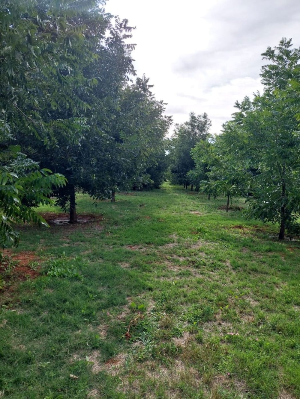 Aquaculture farm for sale in Griekwastad, Northern Cape - 1KJ1647751