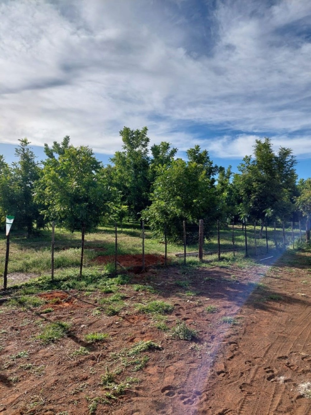 Aquaculture farm for sale in Griekwastad, Northern Cape - 1KJ1647751