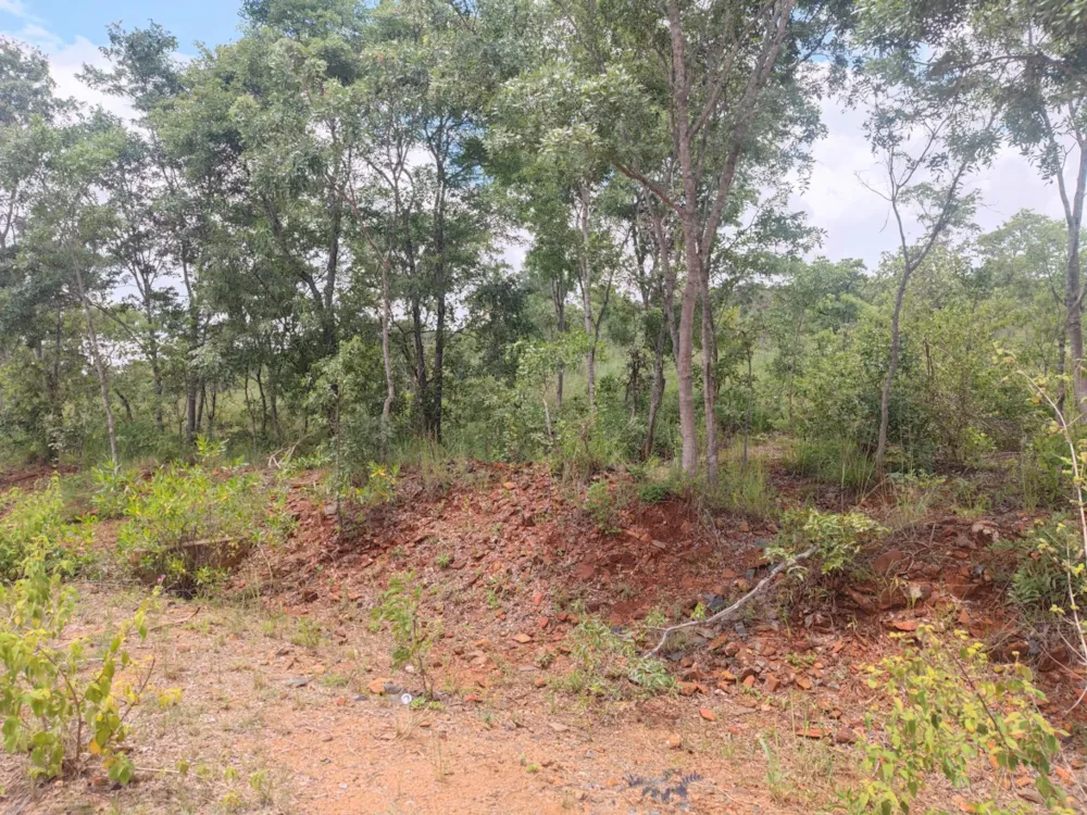 Farm vacant land for sale in Arcturus, Zimbabwe - 3ZB1646467 Farm vacant land for sale in Arcturus, Zimbabwe - 3ZB1646467