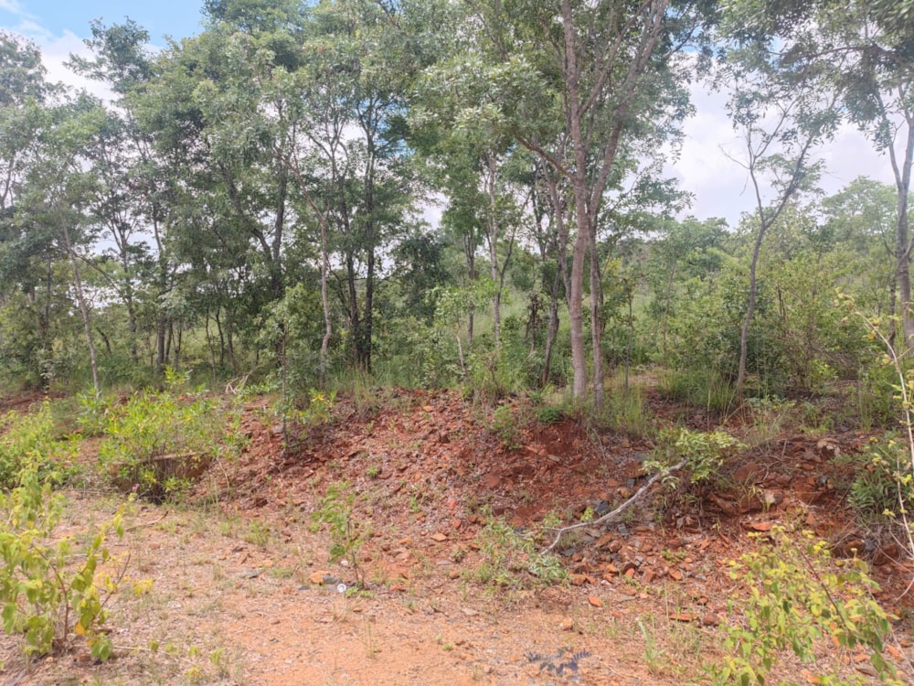 Farm vacant land for sale in Arcturus, Zimbabwe - 3ZB1646467 Farm vacant land for sale in Arcturus, Zimbabwe - 3ZB1646467