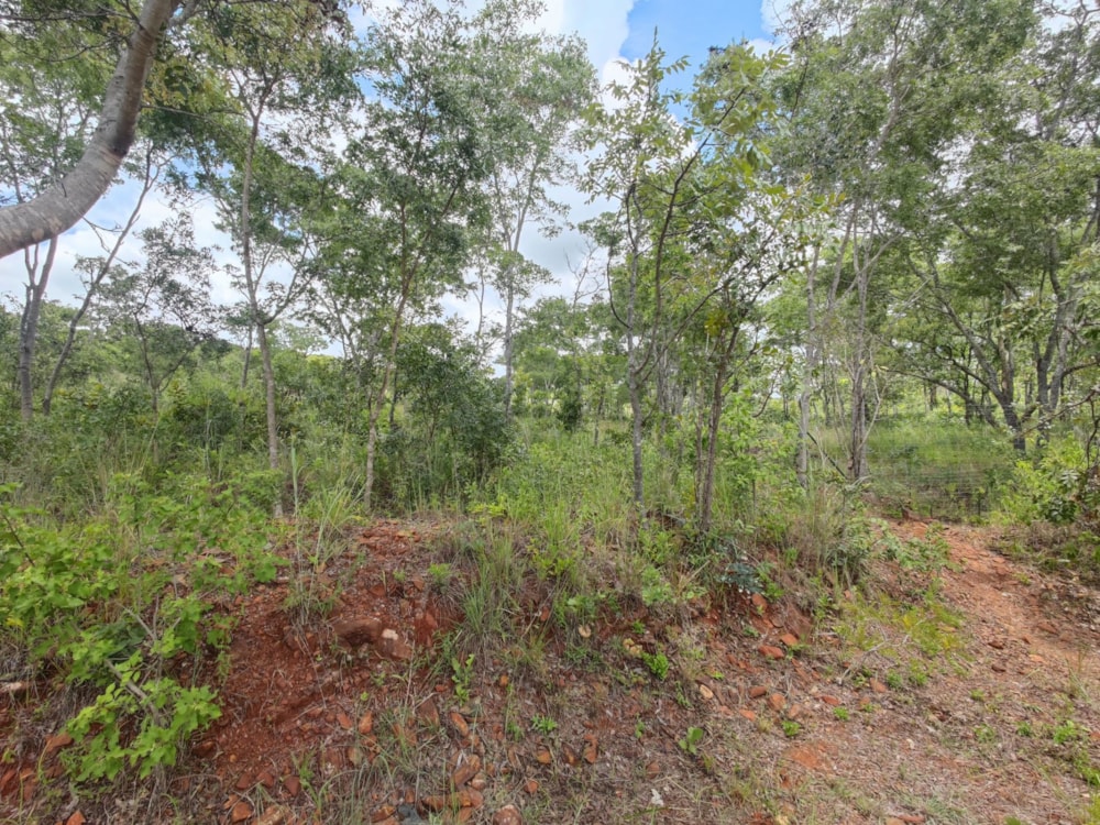 Farm vacant land for sale in Arcturus, Zimbabwe - 3ZB1646467