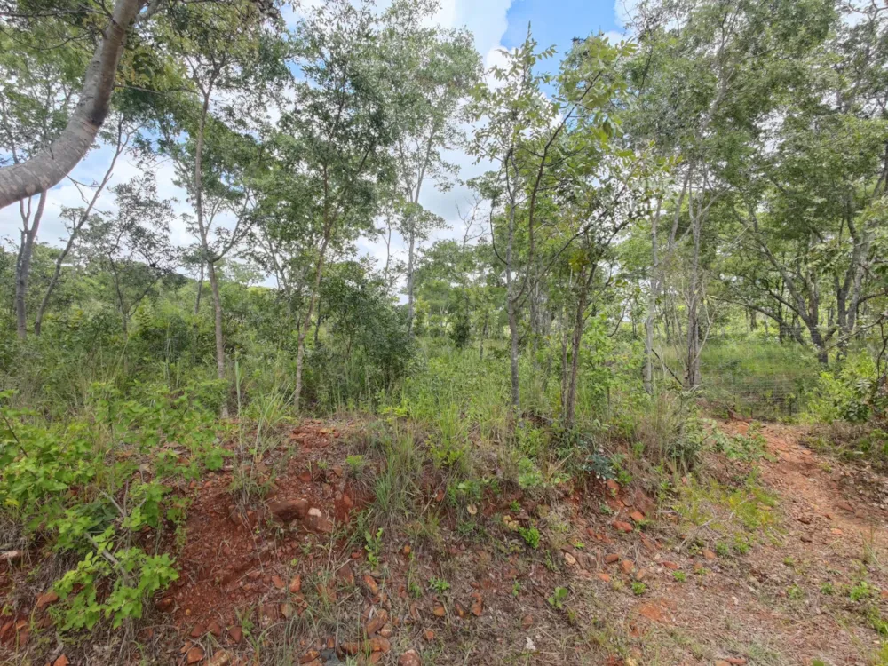 Farm vacant land for sale in Arcturus, Zimbabwe - 3ZB1646467 Farm vacant land for sale in Arcturus, Zimbabwe - 3ZB1646467