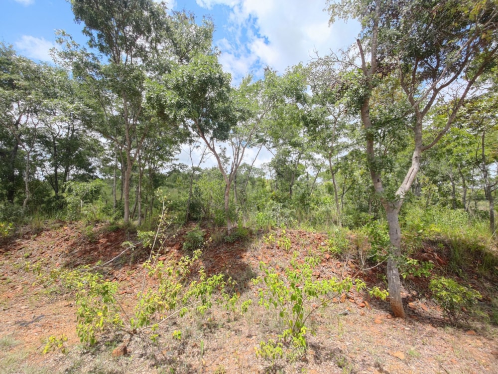 Farm vacant land for sale in Arcturus, Zimbabwe - 3ZB1646467 Farm vacant land for sale in Arcturus, Zimbabwe - 3ZB1646467