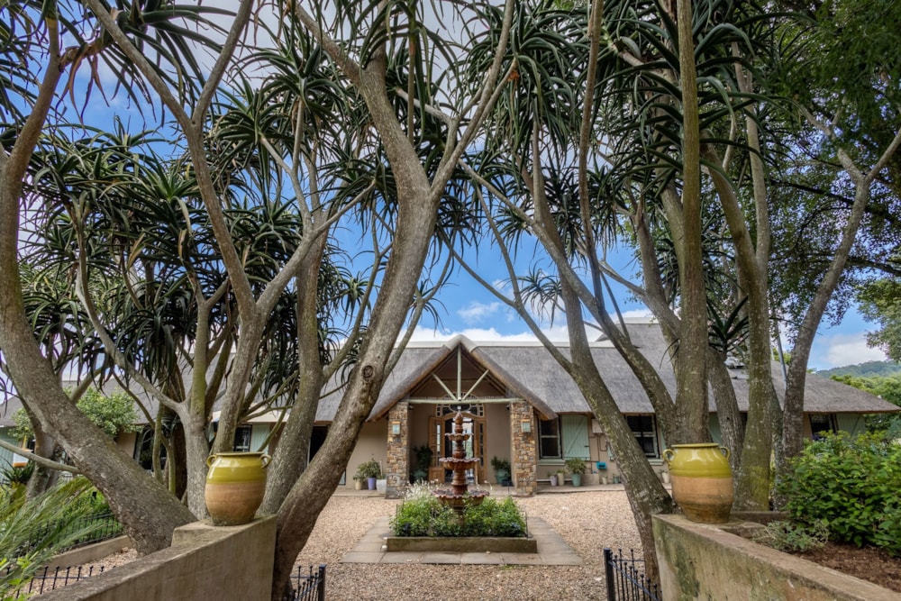 Equestrian farm sold in Dargle - 1PM1646523 Equestrian farm sold in Dargle - 1PM1646523