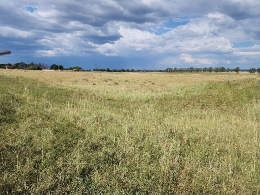 Farm vacant land for sale in Bethlehem - 1BTH1646689