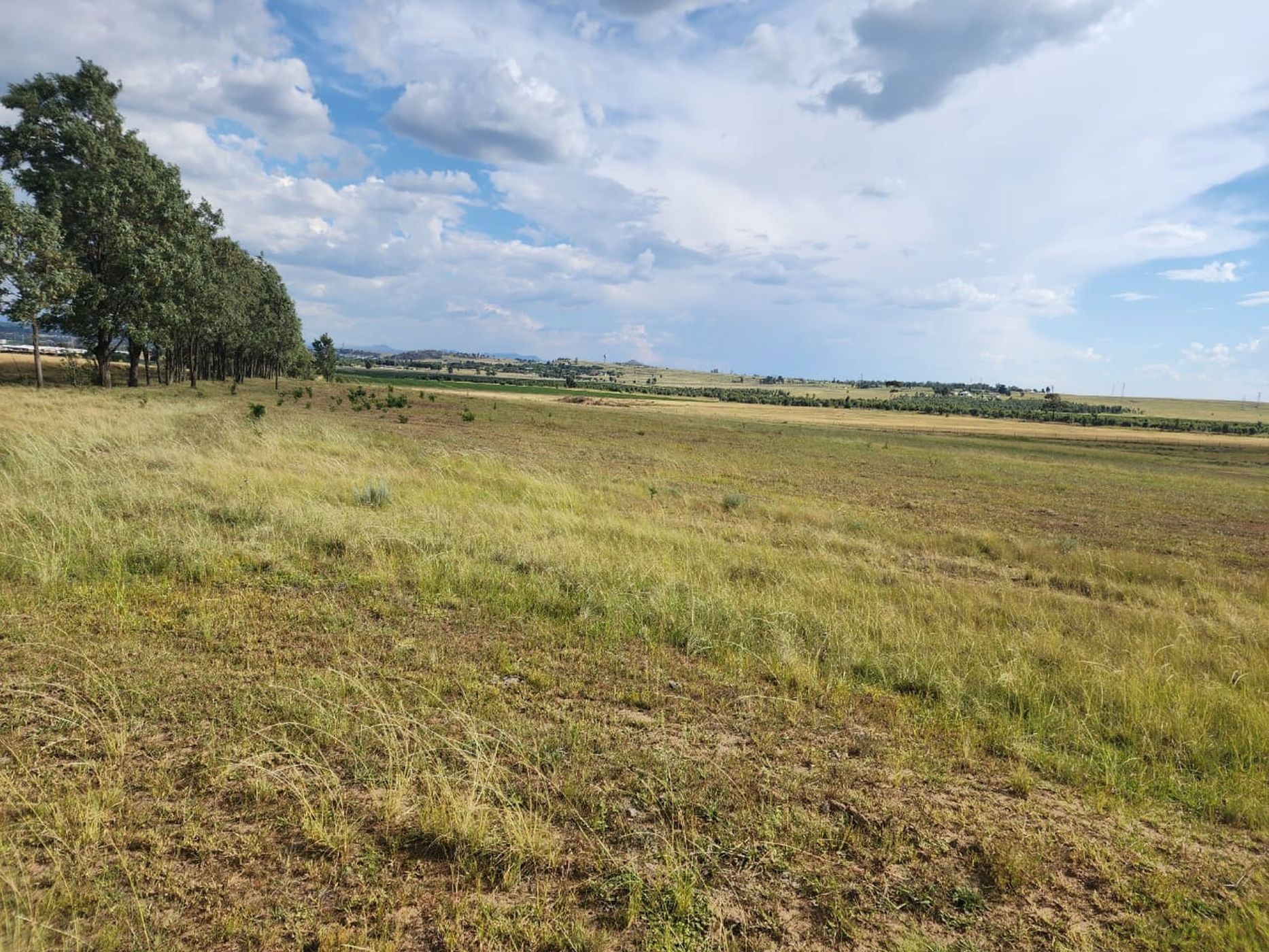 Farm vacant land for sale in Bethlehem - 1BTH1646689