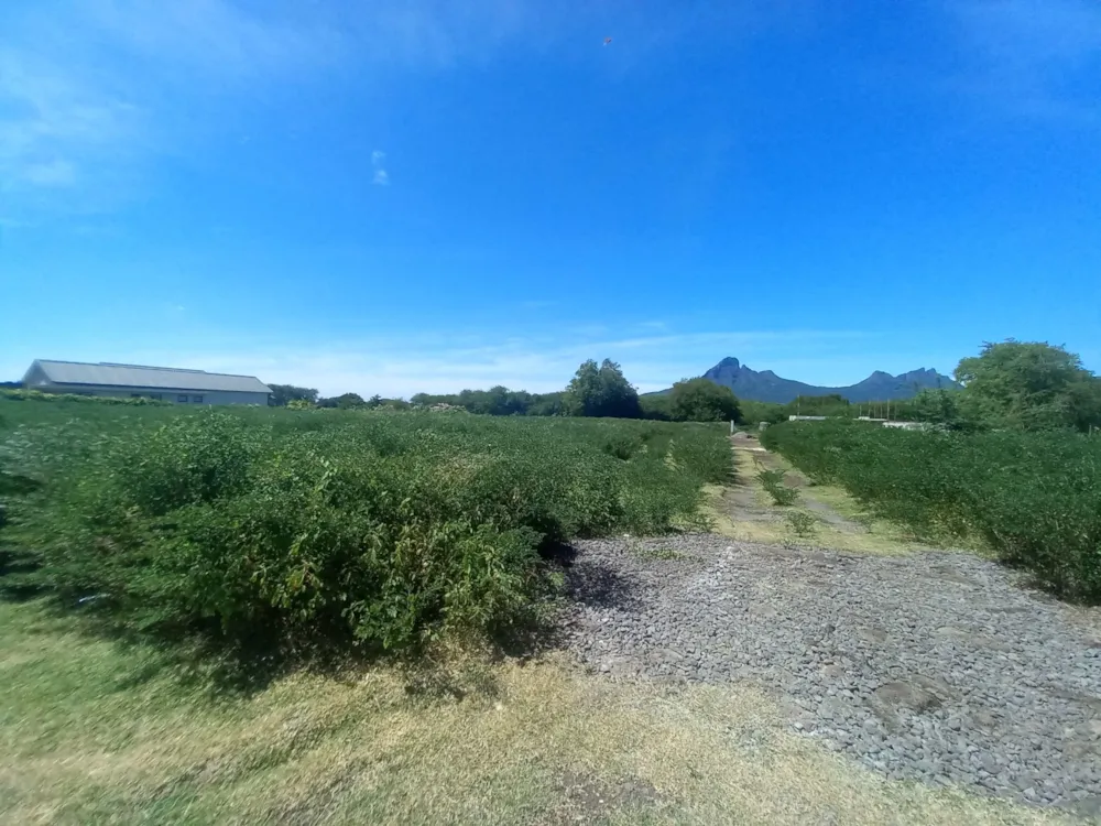 Residential vacant land for sale in Tamarin, Mauritius - MUR1727859 Residential vacant land for sale in Tamarin, Mauritius - MUR1727859
