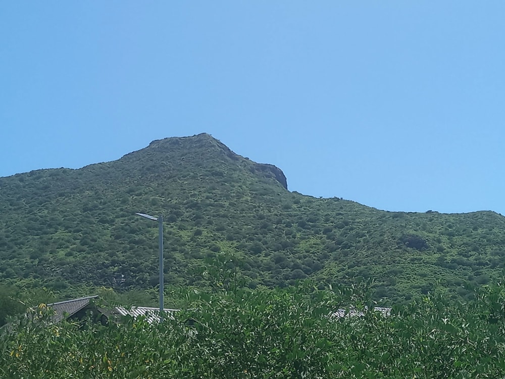 Residential vacant land for sale in Tamarin, Mauritius - MUR1647352 Residential vacant land for sale in Tamarin, Mauritius - MUR1647352